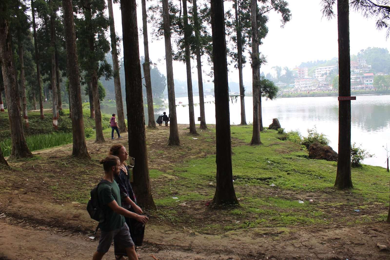 Sitong — The orange village of the Darjeeling hills